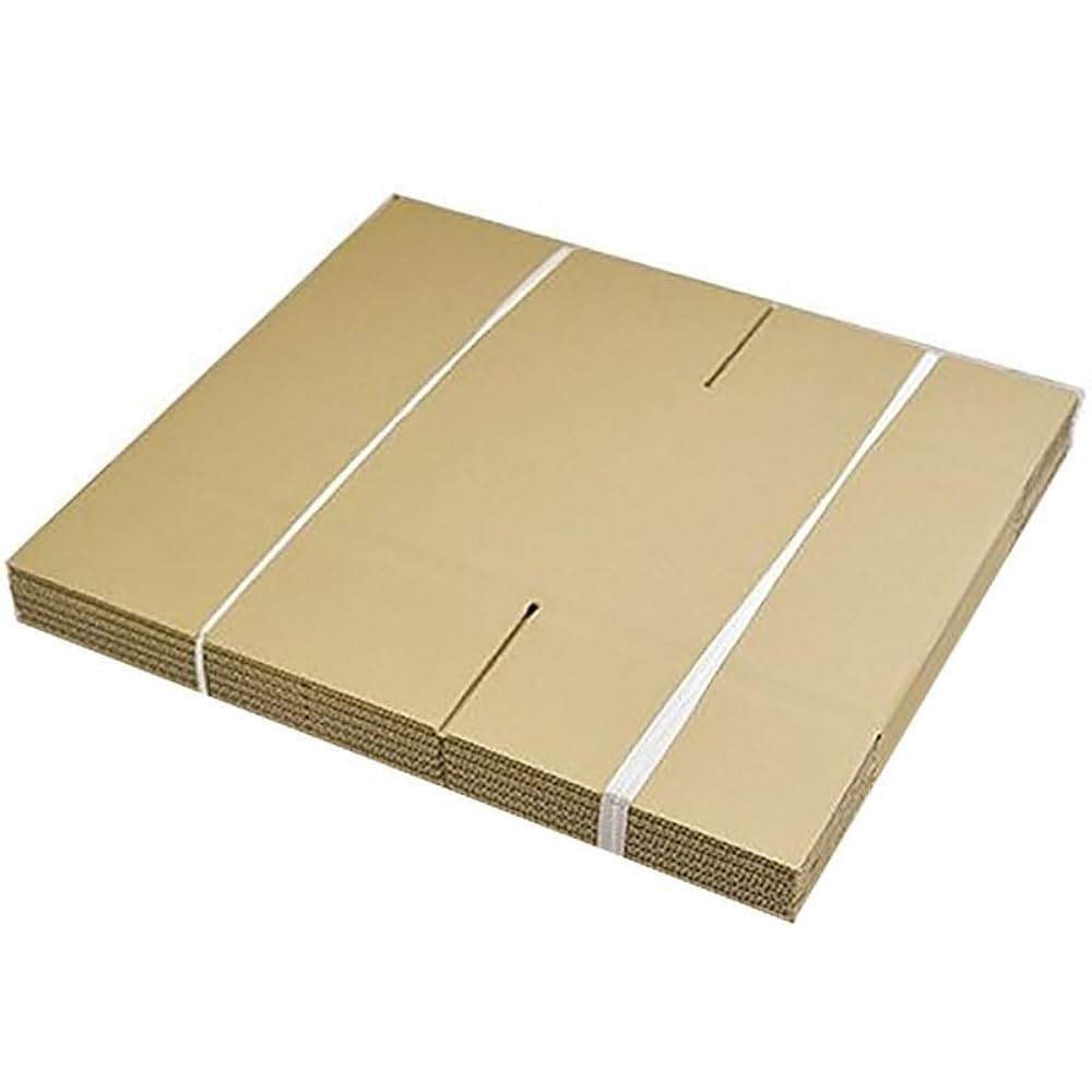 バン・バンボール Amazon | タチバナ産業 ダンボール 宅配 100サイズ 10枚セット